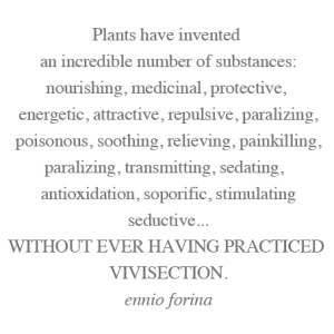 Plants invented